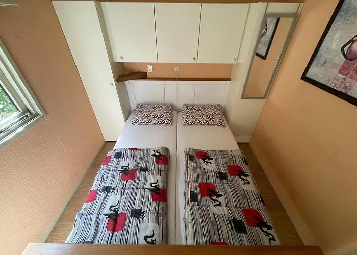 With Scenic Terrace *