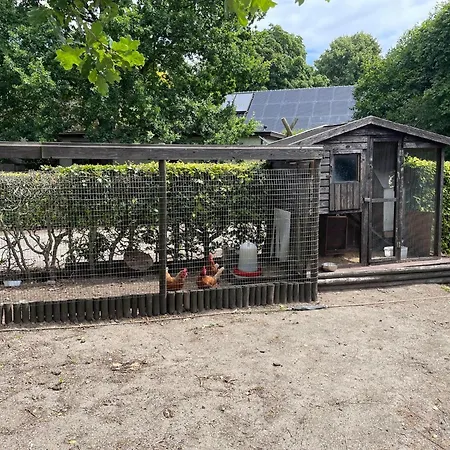 With Scenic Terrace Chalé *