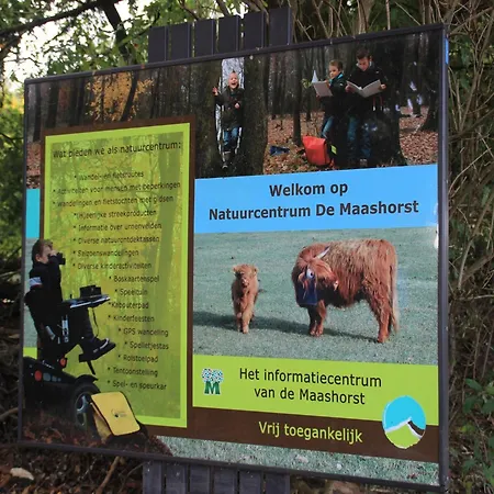 With Scenic Terrace *