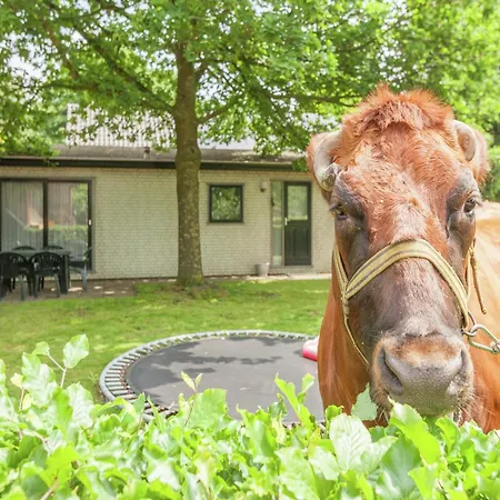 With Scenic Terrace *