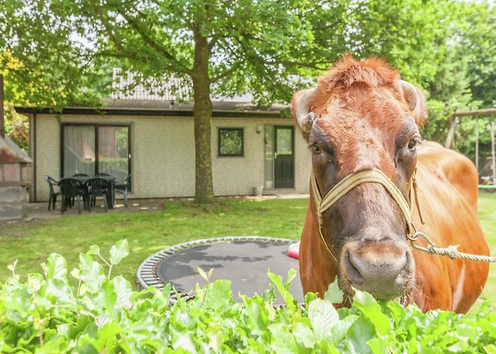 With Scenic Terrace *